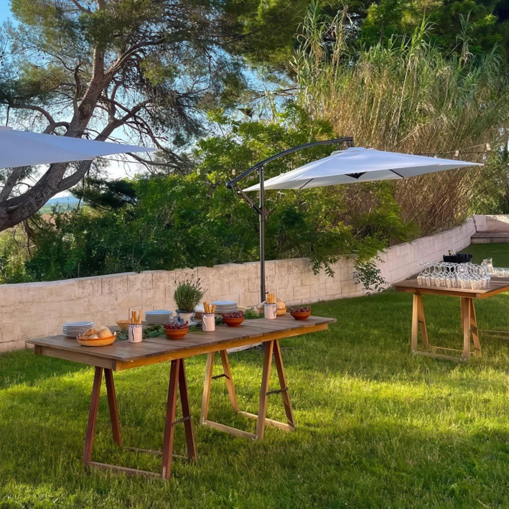 Visita infantil, Experiencia Mosto & Familia